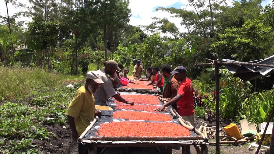 Bring back the agriculture extension services