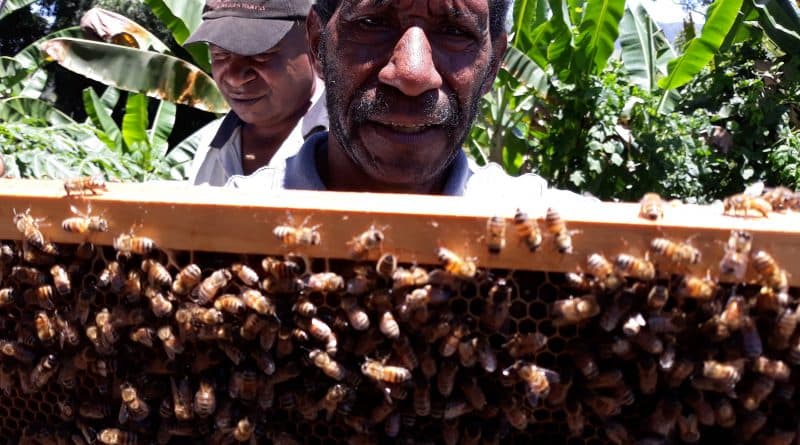 Bring back the agriculture extension services