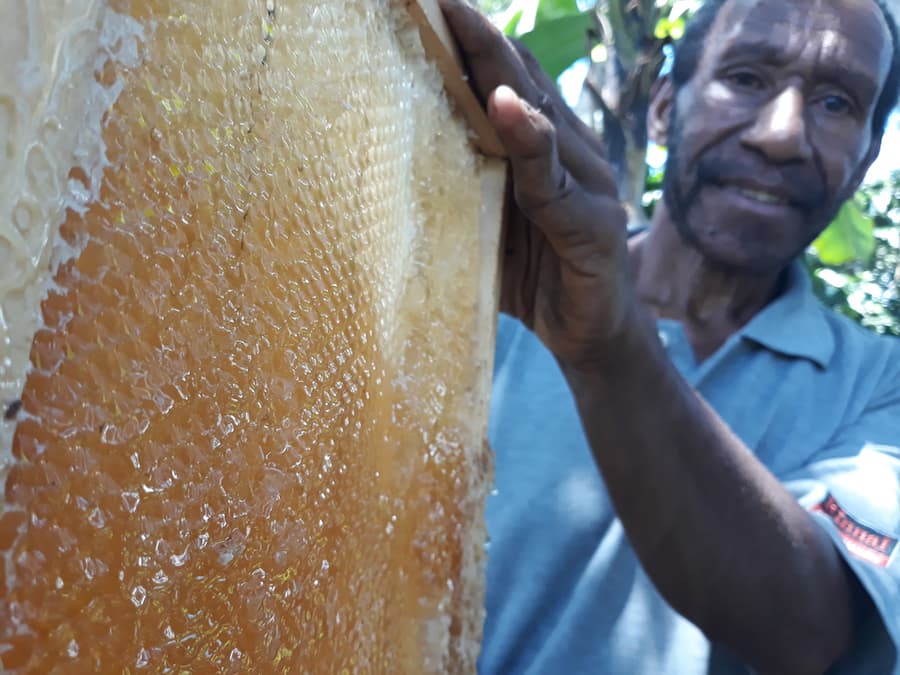 Bring back the agriculture extension services