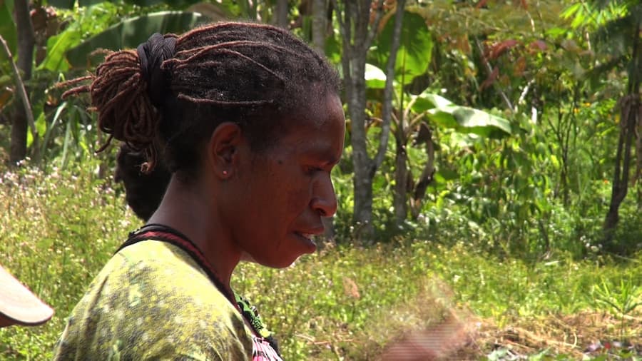 Bring back the agriculture extension services