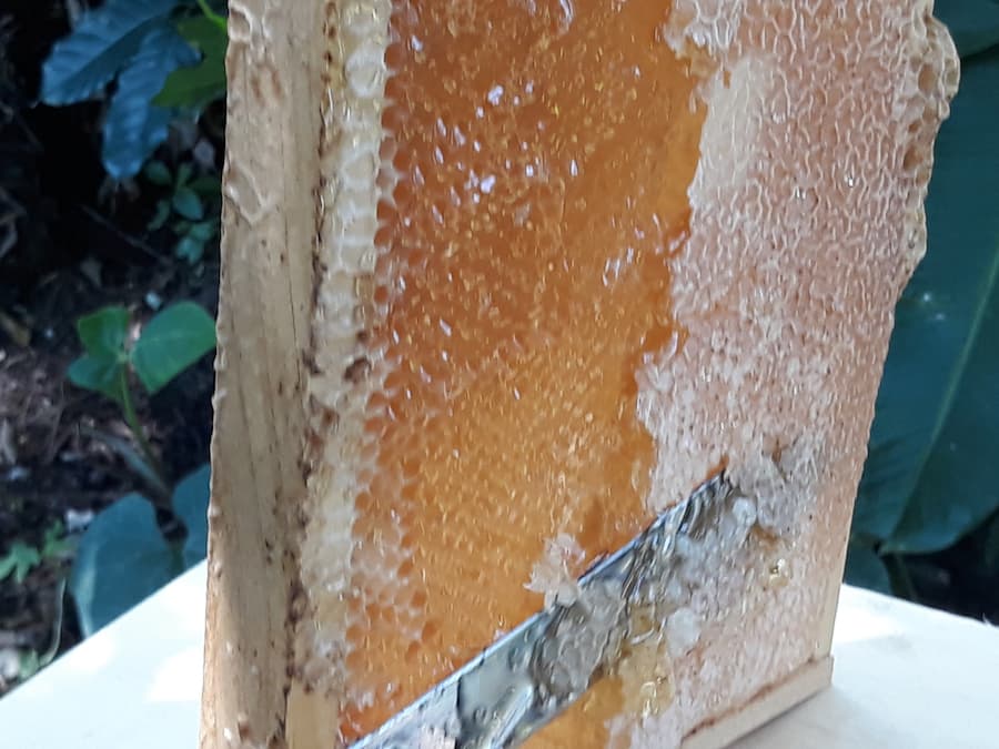 Bring back the agriculture extension services