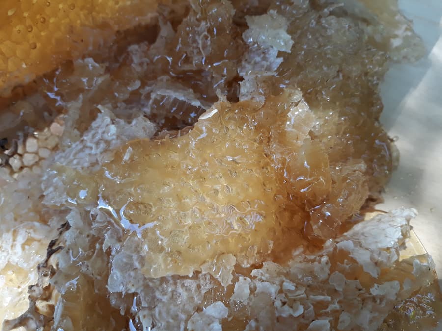 Bring back the agriculture extension services