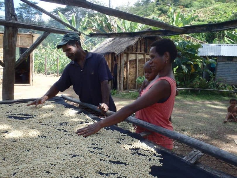 Village Coffee: a better deal for PNG growers