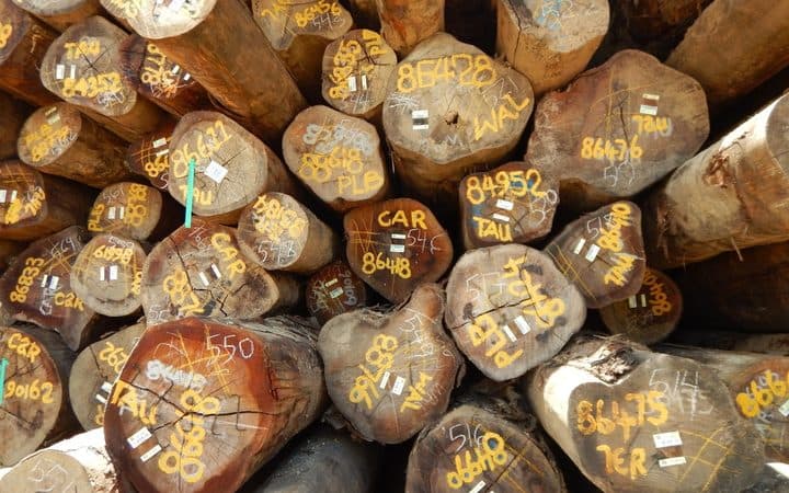 stack of tropical logs