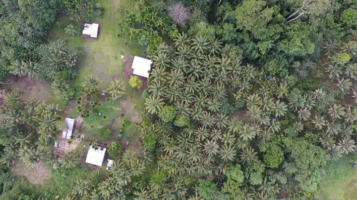 US retail one end of supply chain for illegal PNG logs