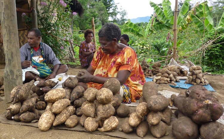 Papua New Guinea's real economy