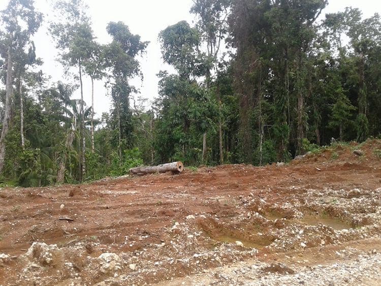 PM’s SABL promises meaningless for the people of Pomio