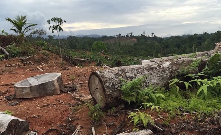 Provincial Govt sends in armed police against customary landholders