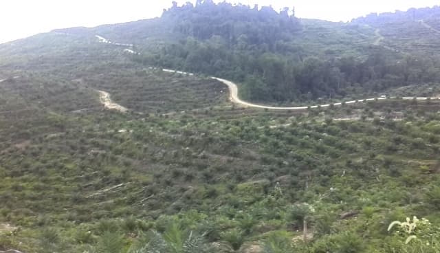 SABL Slavery! Pomio land grab fails to deliver on promises