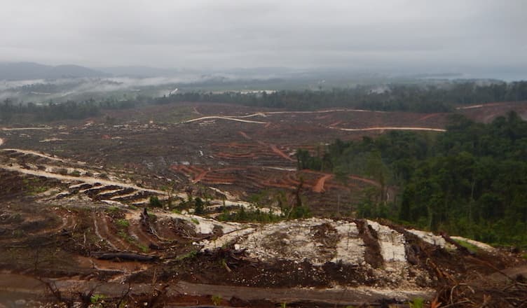 Pomio landowners petition against SABL logging