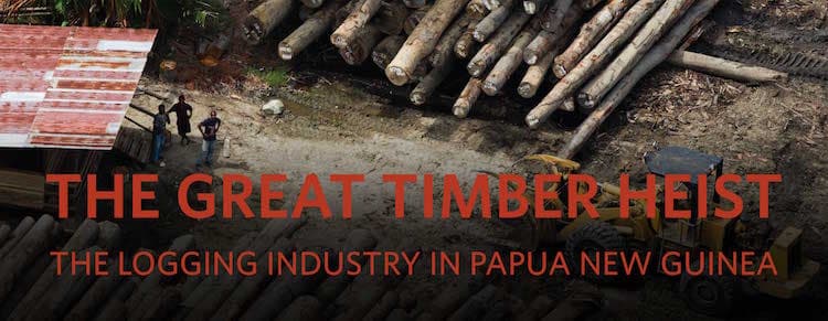 Take action to stop logging industry tax evasion