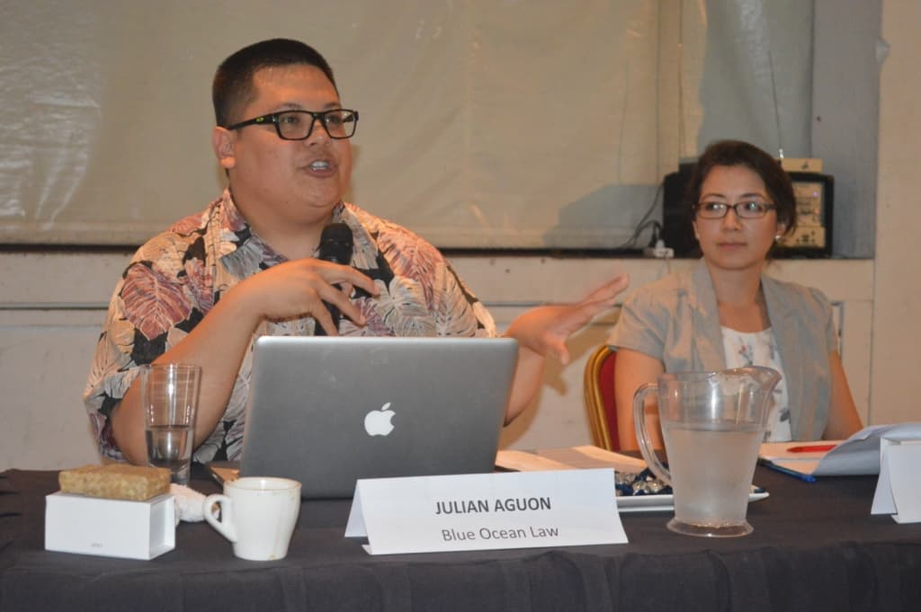 SPC-EU Framework needs safeguards