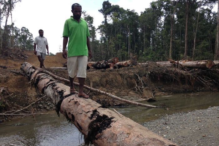 PNG in no rush to crack down on Asian logging giants