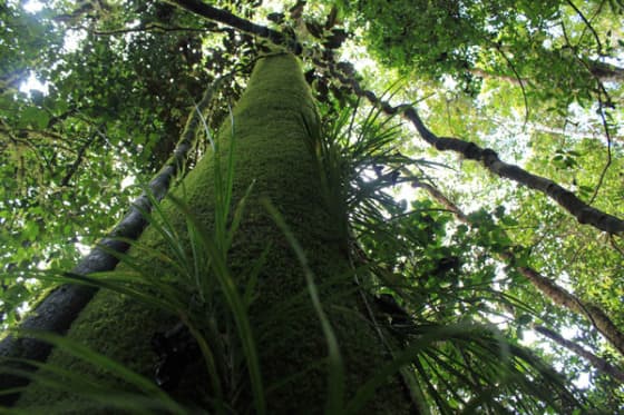 Court Rulings confirm SABLs null and void