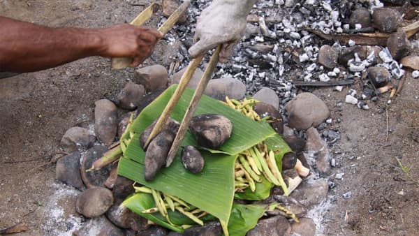 Microbiology: why modern life is bad for your gut