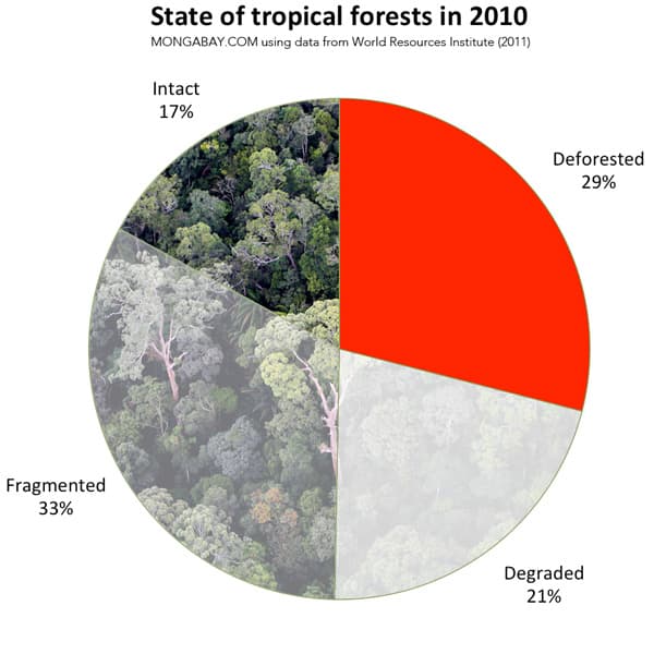 Advocate: Return land titles