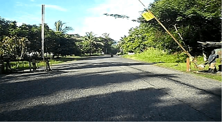 Significance of the No Go Zone Checkpoint