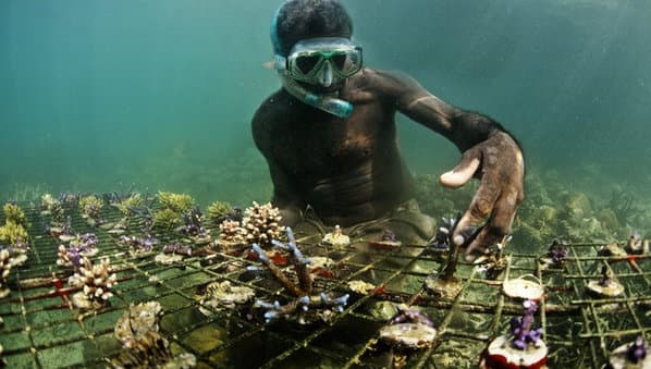 Laws to Protect Marine Resources still a long way off