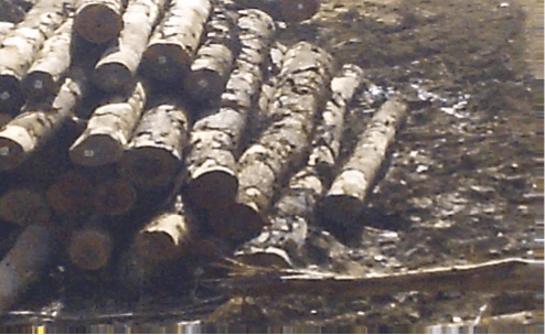 Customary Landowners interested in timber processing on SABL debated land