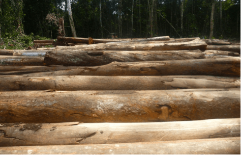 Customary Landowners interested in timber processing on SABL debated land