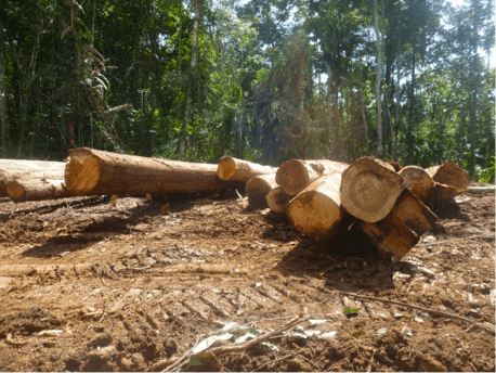 Customary Landowners interested in timber processing on SABL debated land