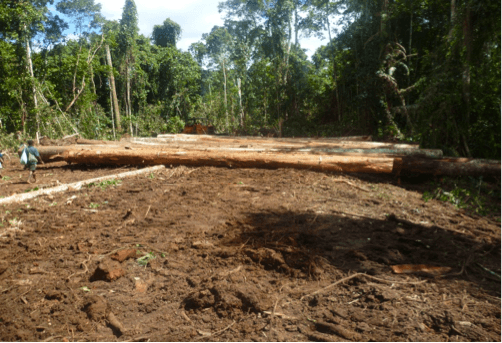 Customary Landowners interested in timber processing on SABL debated land