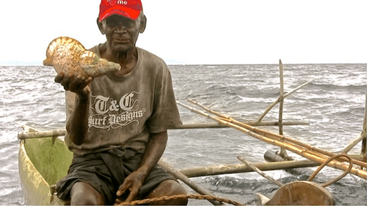 REAL SHARK TALE WAITING TO VANISH