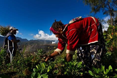 Agriculture is our backbone, PM O’Neill