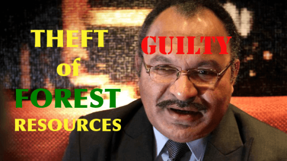 O'Neill's illegal logging: 536 days and counting....