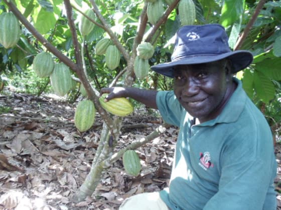 Alternatives to mining: A chocolate revolution on Bougainville