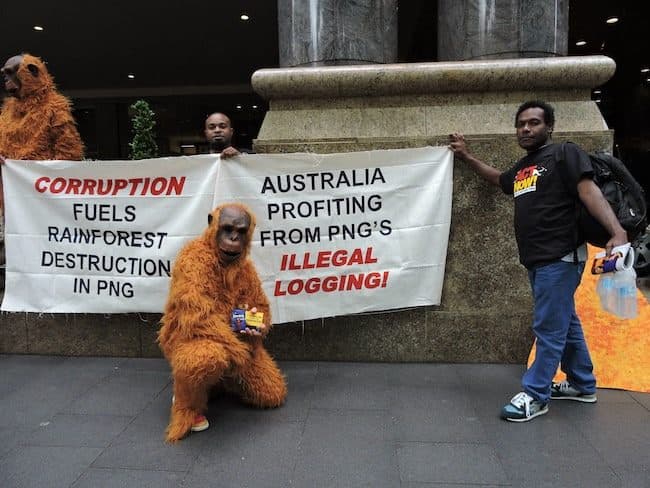 Street protest highlights Australia's shortcomings on rainforests