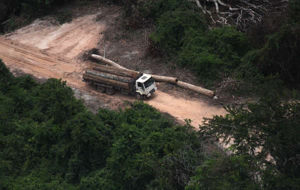 Amazon Indian ‘army’ takes on illegal loggers