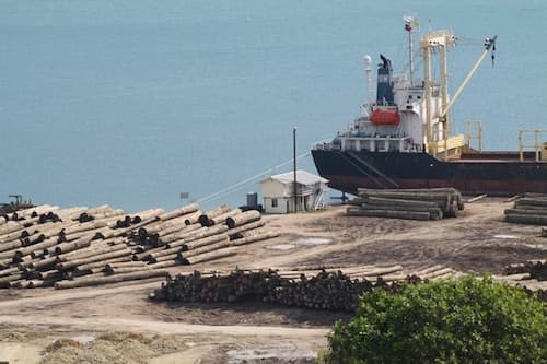 PNG's West Sepik wants larger logging share