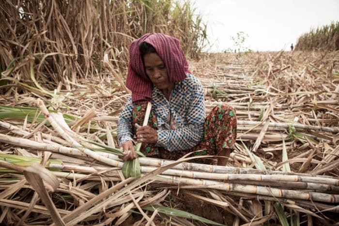 ANZ compensates Cambodian families forcibly evicted to make way for sugar plantation