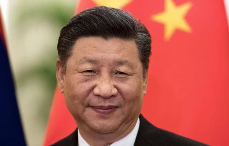 Civil society petitions China to stop illegal logging in PNG