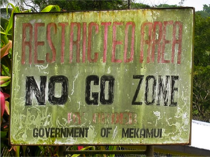 Significance of the No Go Zone Checkpoint